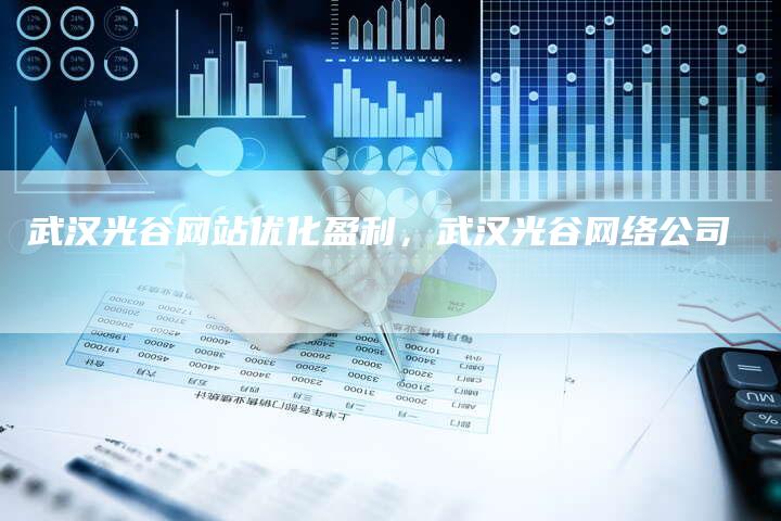 武汉光谷网站优化盈利，武汉光谷网络公司