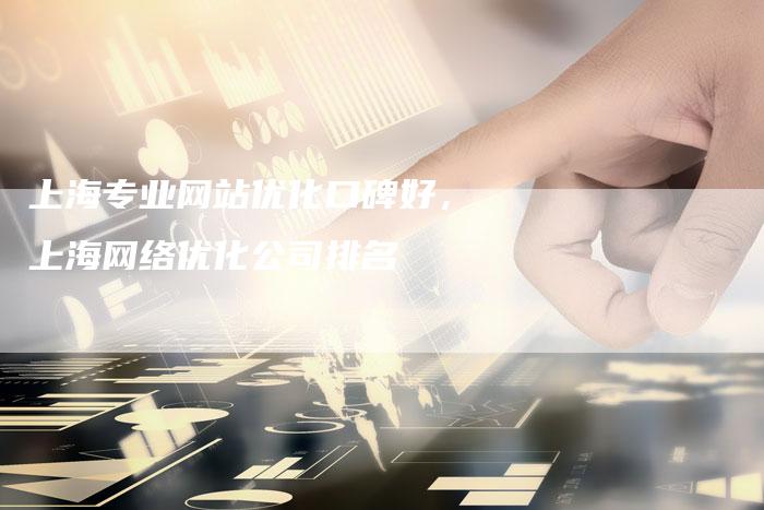 上海专业网站优化口碑好，上海网络优化公司排名