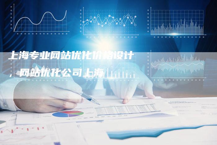 上海专业网站优化价格设计，网站优化公司上海
